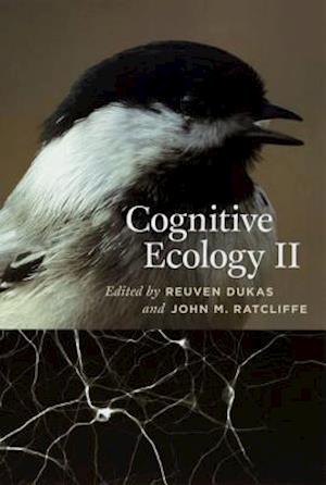 Cognitive Ecology II