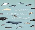 Whales, Dolphins & Porpoises