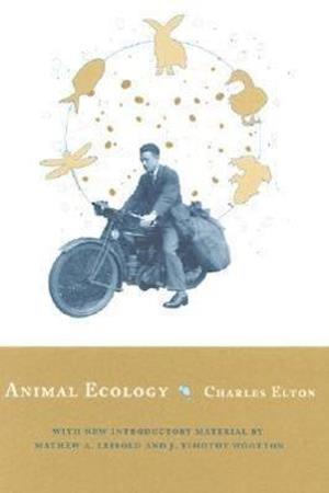 Animal Ecology