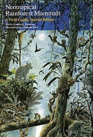 Neotropical Rainforest Mammals