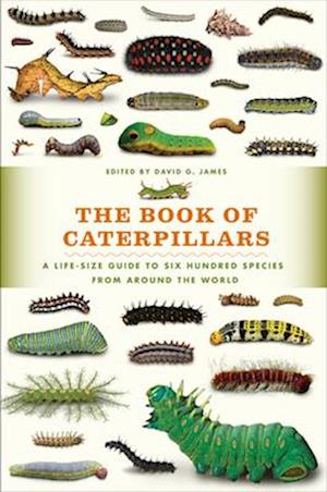 The Book of Caterpillars