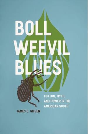 Boll Weevil Blues