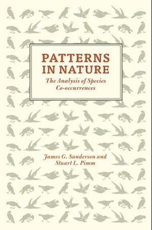 Patterns in Nature