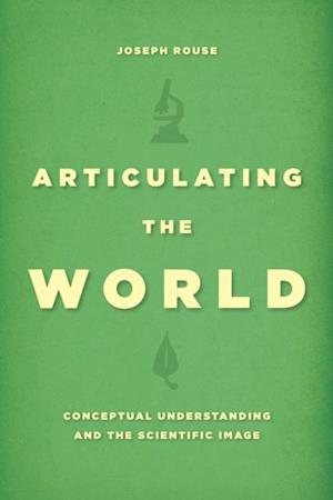 Articulating the World