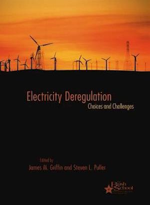 Electricity Deregulation