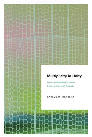 Multiplicity in Unity