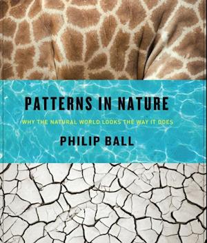 Patterns in Nature