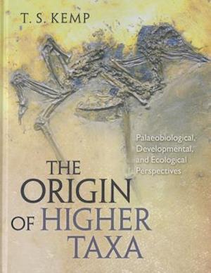 The Origin of Higher Taxa