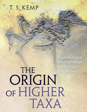 The Origin of Higher Taxa