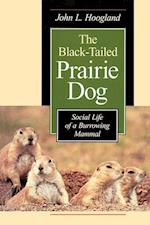 The Black-Tailed Prairie Dog