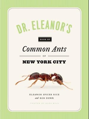 Dr. Eleanor's Book of Common Ants of New York City