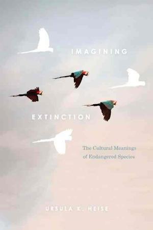 Imagining Extinction