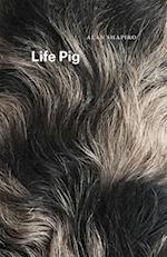 Life Pig