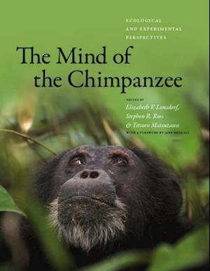 Mind of the Chimpanzee