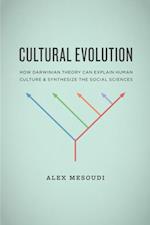 Cultural Evolution