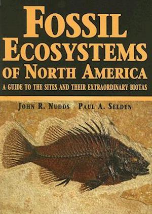 Fossil Ecosystems of North America