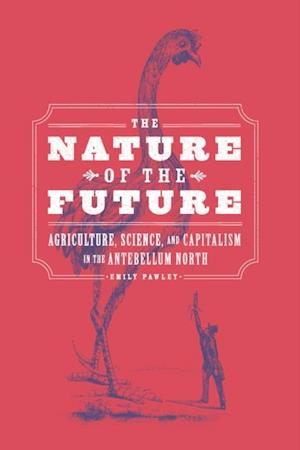 Nature of the Future