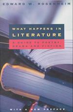 What Happens in Literature