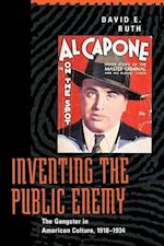 Inventing the Public Enemy