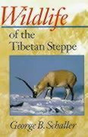 Wildlife of the Tibetan Steppe