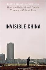 The Invisible China