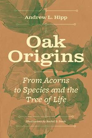 Oak Origins