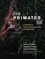 How Primates Eat