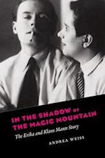 In the Shadow of the Magic Mountain