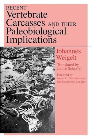 Recent Vertebrate Carcasses and Their Paleobiological Implications