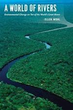 A World of Rivers : Environmental Change on Ten of the World's Great Rivers