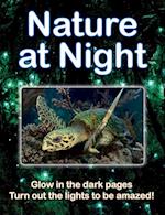 Nature at Night