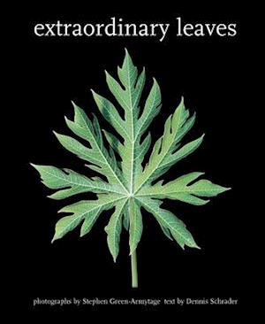 Extraordinary Leaves