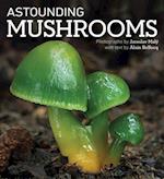 Astounding Mushrooms