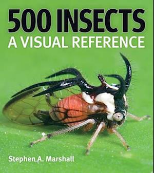 500 Insects: A Visual Reference