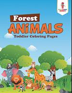 Forest Animals