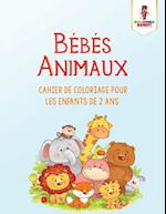 Bebes Animaux