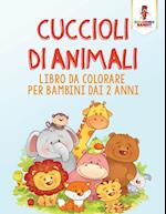 Cuccioli Di Animali