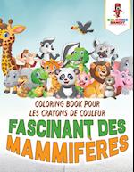 Fascinant Des Mammiferes