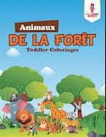 Animaux de la Foret