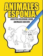 Animales Esponja