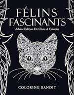 Felins Fascinants