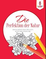 Die Perfektion Der Natur