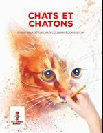 Chats Et Chatons