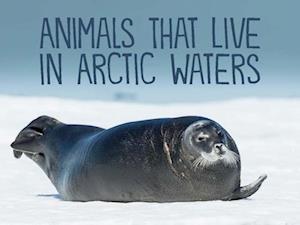 Animals That Live in Arctic Waters