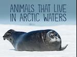 Animals That Live in Arctic Waters
