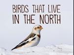 Birds That Live in the North