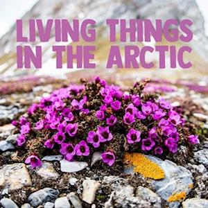 Living Things in the Arctic