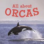 All about Orcas