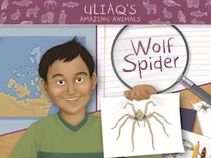 Uliaq's Amazing Animals: Wolf Spider