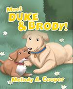 Meet Duke and Brody! 